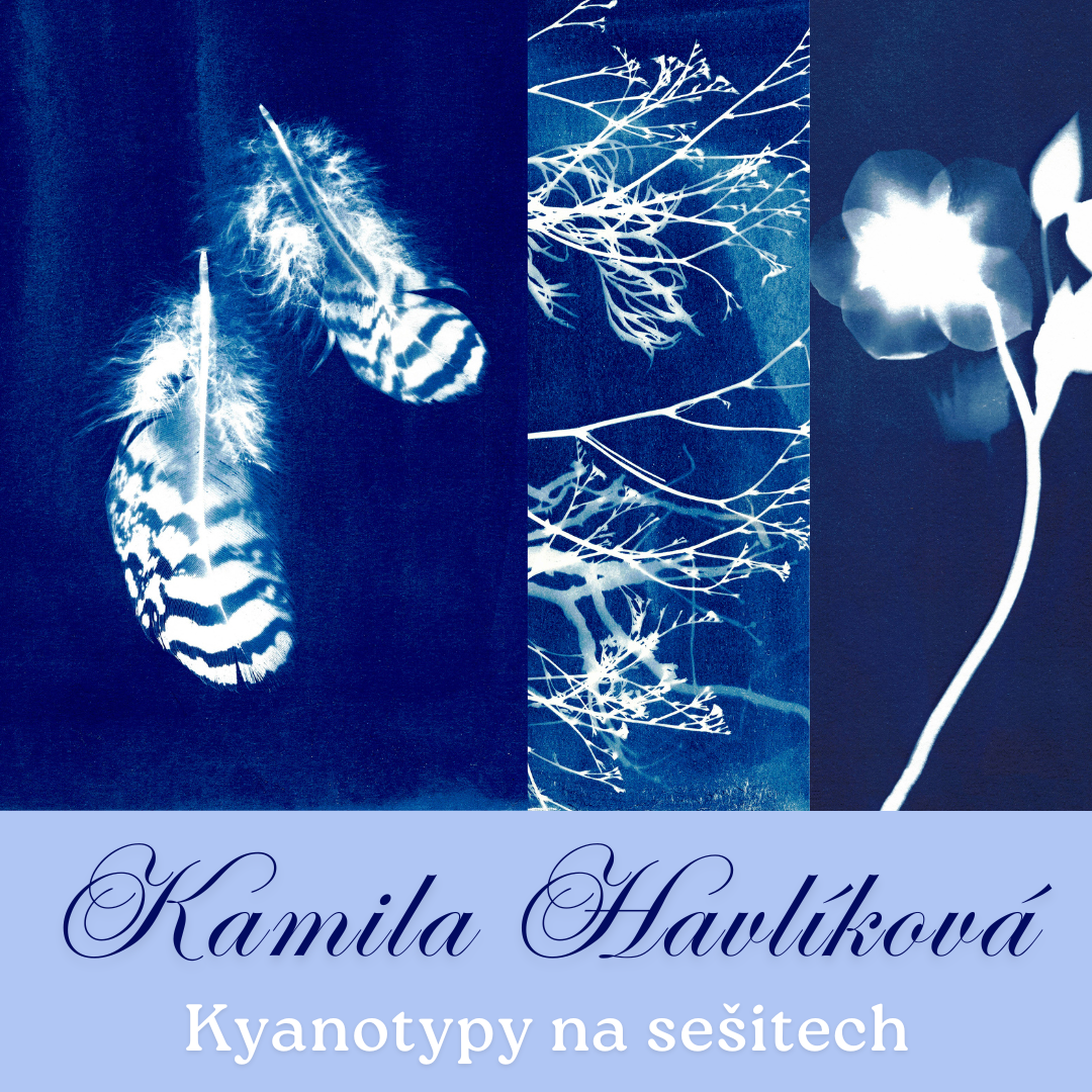 Kamila Havlikova_Baner